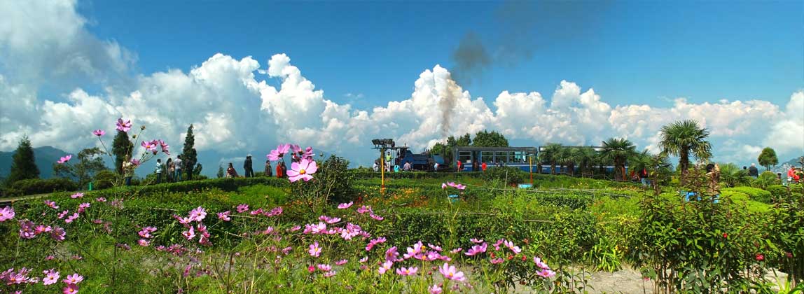 Information about Darjeeling
