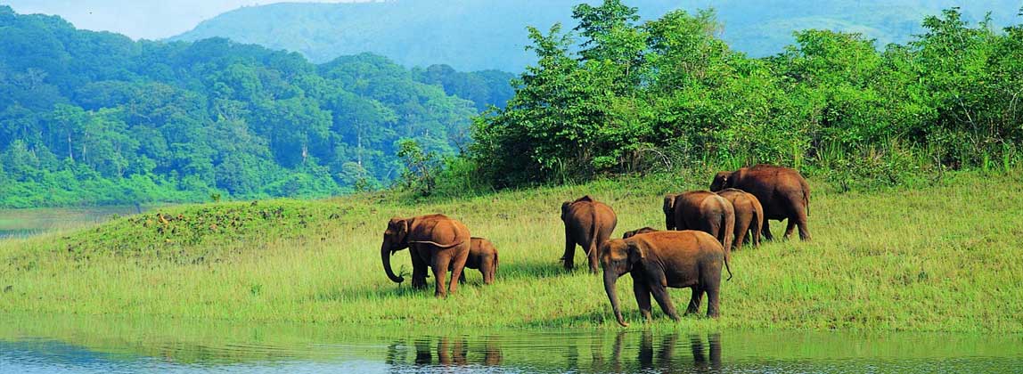 Information about Periyar